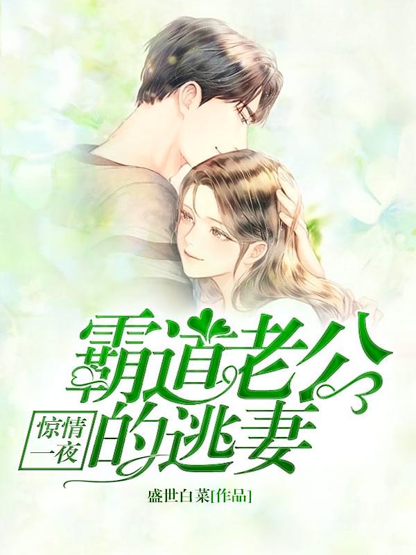 惊情一夜 霸道老公的逃妻