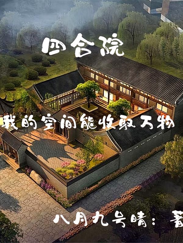 四合院：我成了傻柱大舅